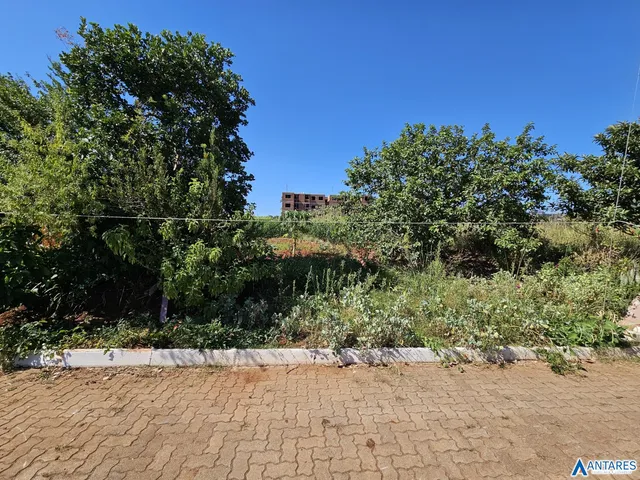 Terreno, foto 5