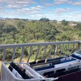 Vista da vegetação densa da região de Lajeado.