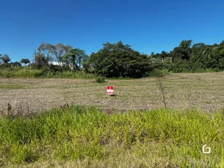 Campo aberto com vegetação verde e marrom sob um céu azul.