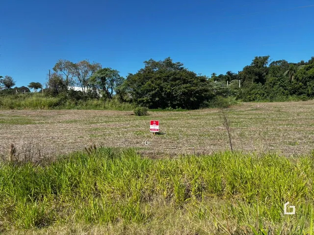 Campo aberto com vegetação verde e marrom sob um céu azul.