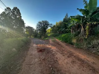 Área rural com 3 dormitórios, foto 12