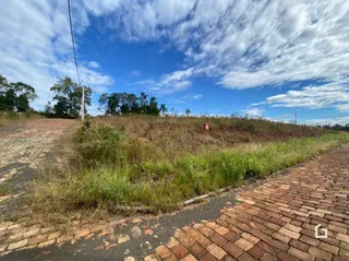 Vista de campo com vegetação alta e estrada de terra em Lajeado.