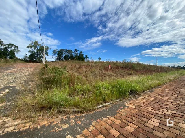 Vista de campo com vegetação alta e estrada de terra em Lajeado.