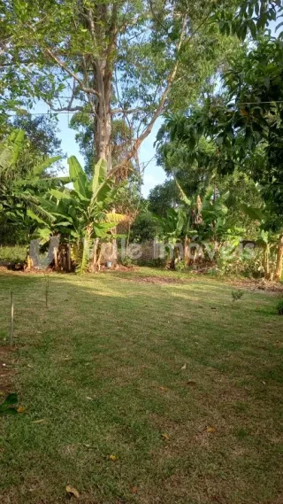 Casa com 5 dormitórios, foto 43