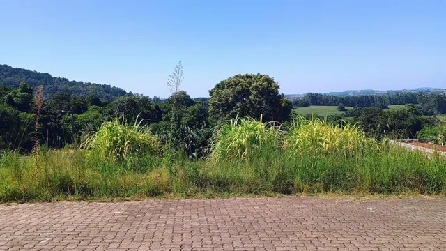 Terreno