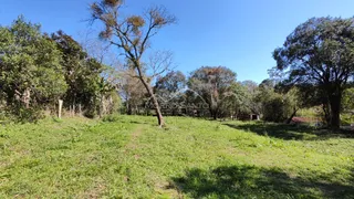 Área rural, foto 2