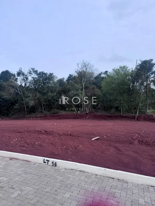 Terreno, foto 3