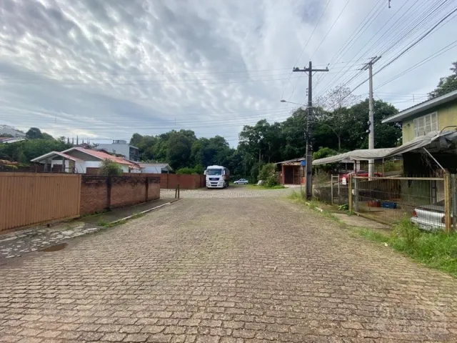 Terreno, foto 2
