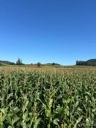 Área rural, foto 6