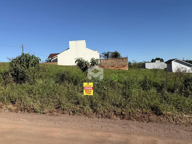 Vista externa de uma residência em uma área com vegetação densa.