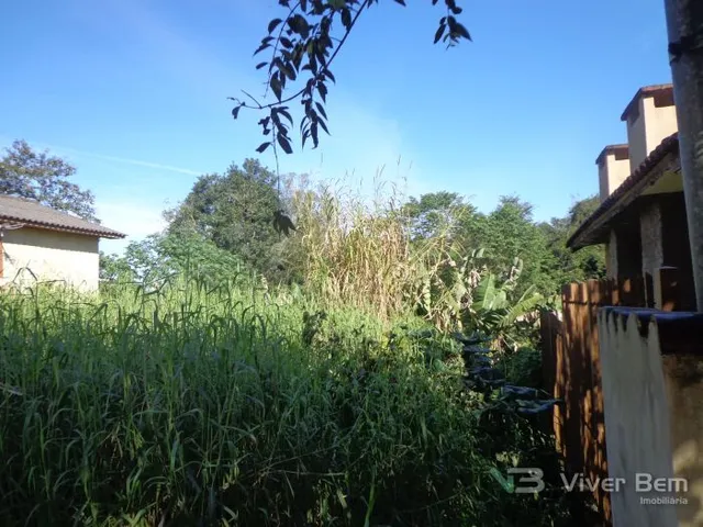 Terreno, foto 2