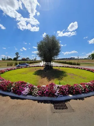 Terreno, foto 2