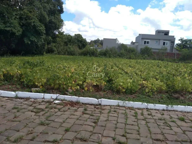 Terreno, foto 2