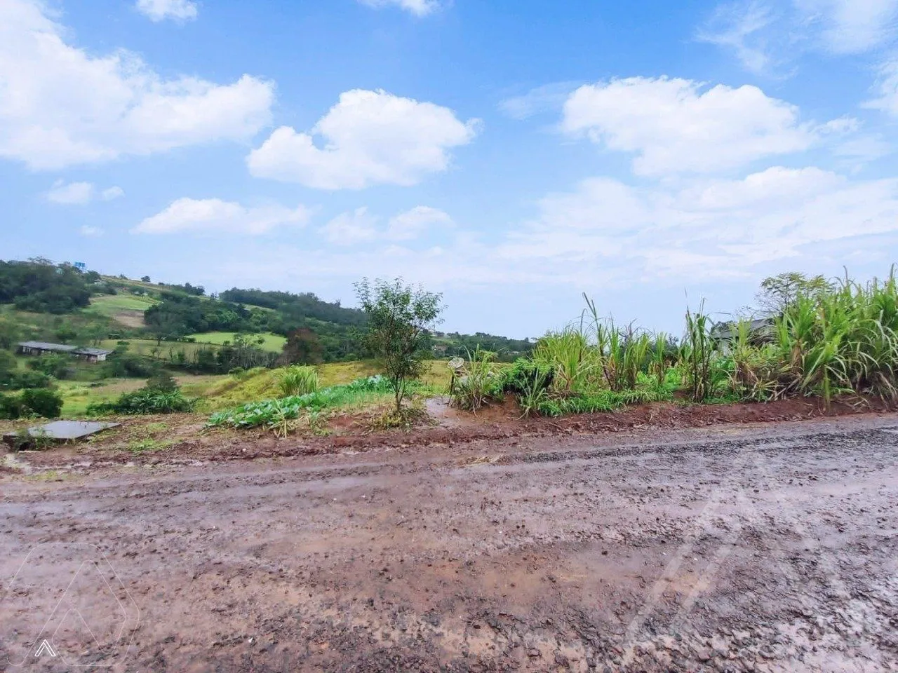 Terreno, foto 1