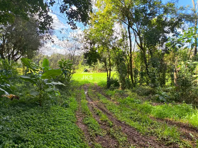 Área rural com 2 dormitórios, foto 3