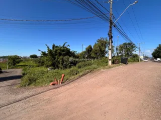 Terreno, foto 1