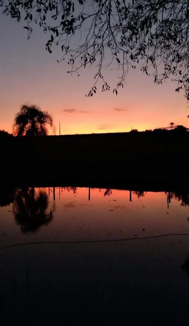 Área rural com 3 dormitórios, foto 5