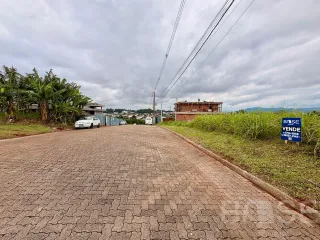 Terreno, foto 3