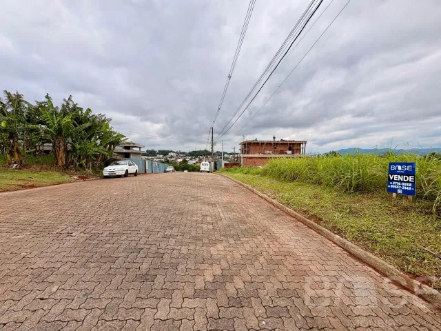 Terreno, foto 3
