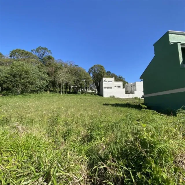 Vista externa de um terreno com vegetação alta e árvores sob um céu azul.