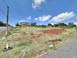 Campo aberto com vegetação seca e terra ao lado de uma estrada rural.