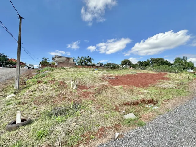 Campo aberto com vegetação seca e terra ao lado de uma estrada rural.