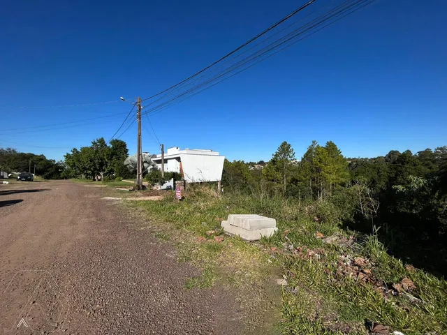 Terreno, foto 2