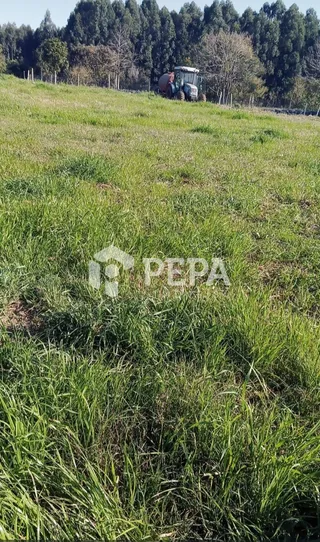 Área rural, foto 2