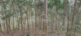 Área rural, foto 2