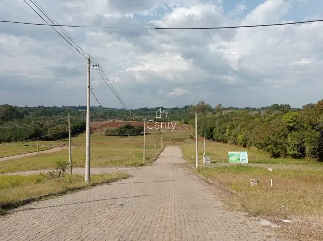 Terreno, foto 3