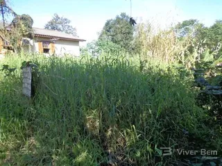 Terreno, foto 1