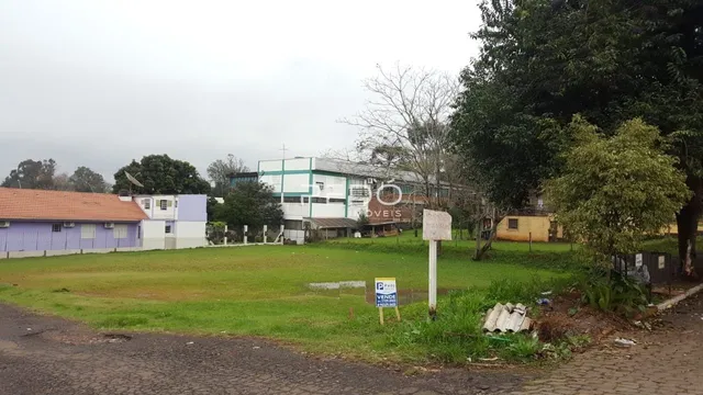 Terreno