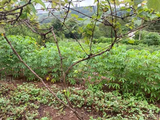 Área rural, foto 10