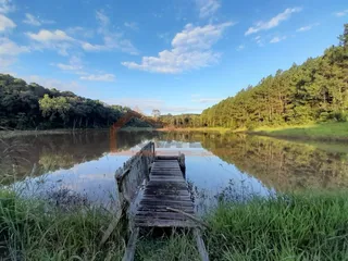 Área rural com 4 dormitórios, foto 20