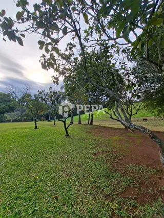Área rural com 2 dormitórios, foto 14
