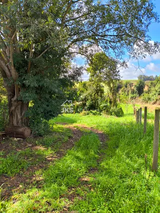 Área rural com 2 dormitórios, foto 9