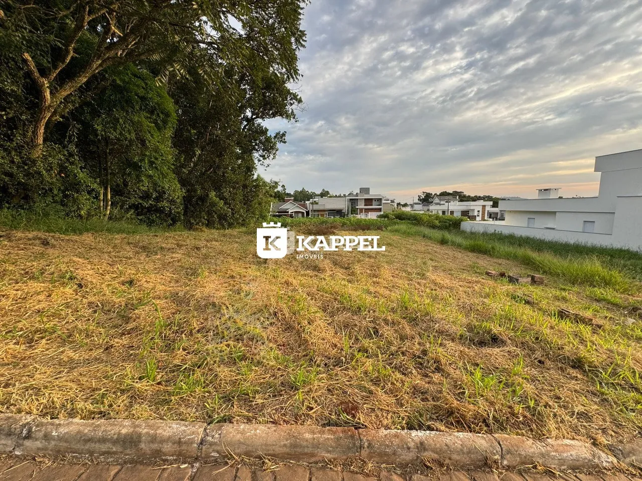 Vista externa de um terreno com vegetação seca e edifícios residenciais ao fundo.