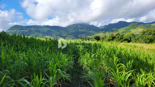 Área rural, foto 13