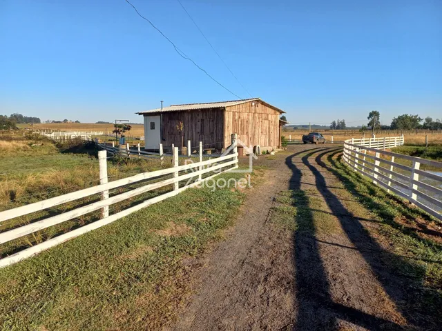 Área rural com 1 dormitório, foto 2