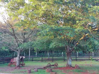 Área rural com 3 dormitórios, foto 28
