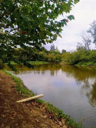 Área rural, foto 10