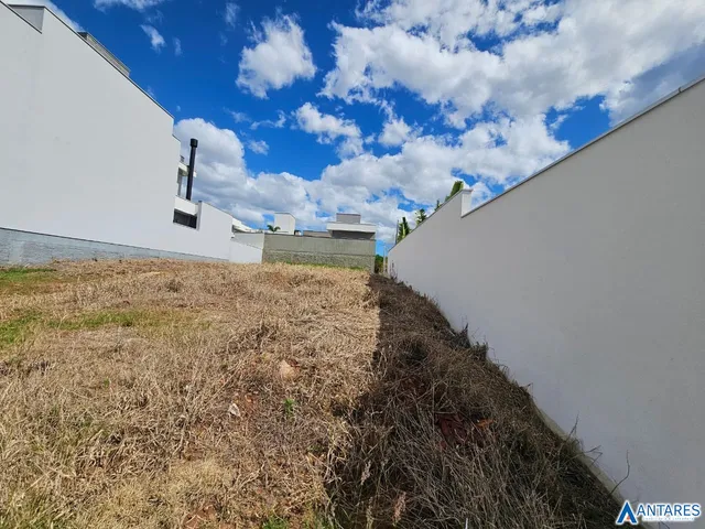 Terreno, foto 3