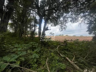 Terreno, foto 17