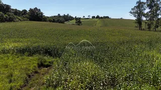 Área rural, foto 4