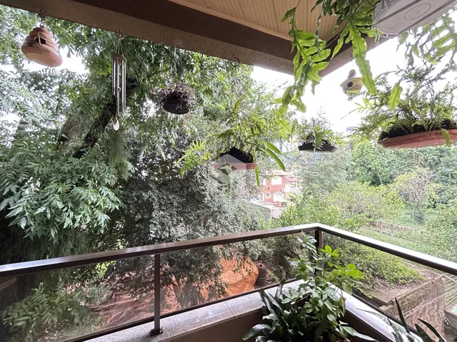Vista de um terraço com abundante vegetação verde.