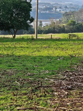 Área rural com 2 dormitórios, foto 17