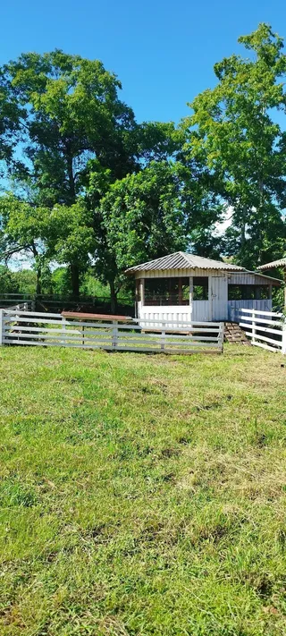 Área rural com 5 dormitórios, foto 4