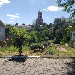 Foto de uma área externa com vegetação e piso de tijolos.