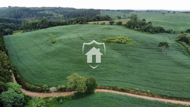 Área rural, foto 4