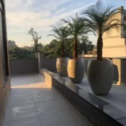 Foto de uma varanda externa com palmeiras e vista.